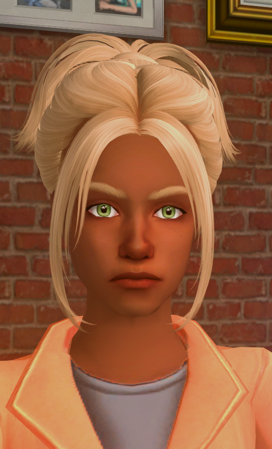 Skysims 228