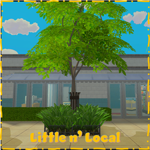 Little n' Local